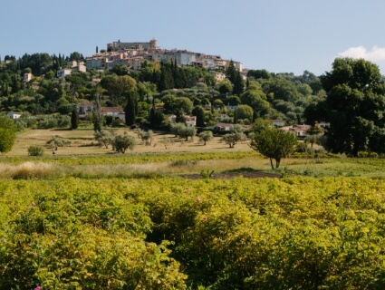 Photo des bergeries - Promouvoir le Made in France