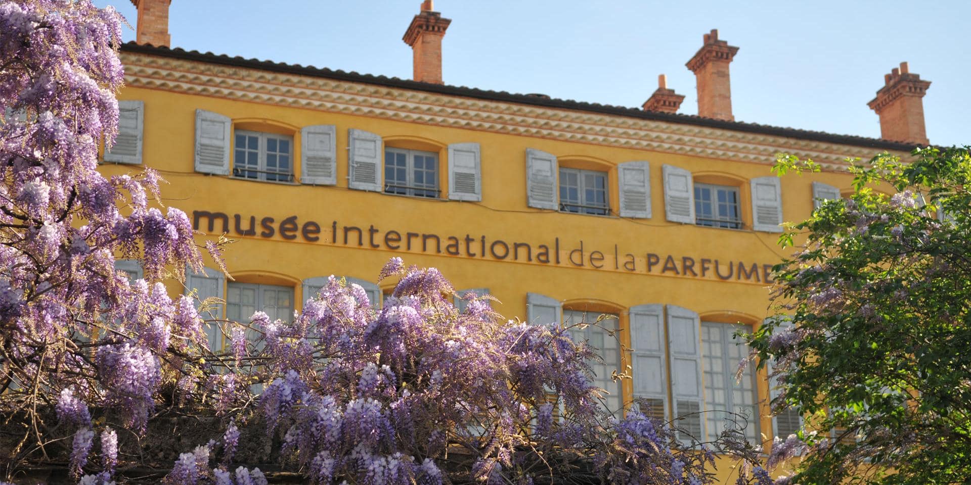 musee international de la parfumerie, grasse, with lavender