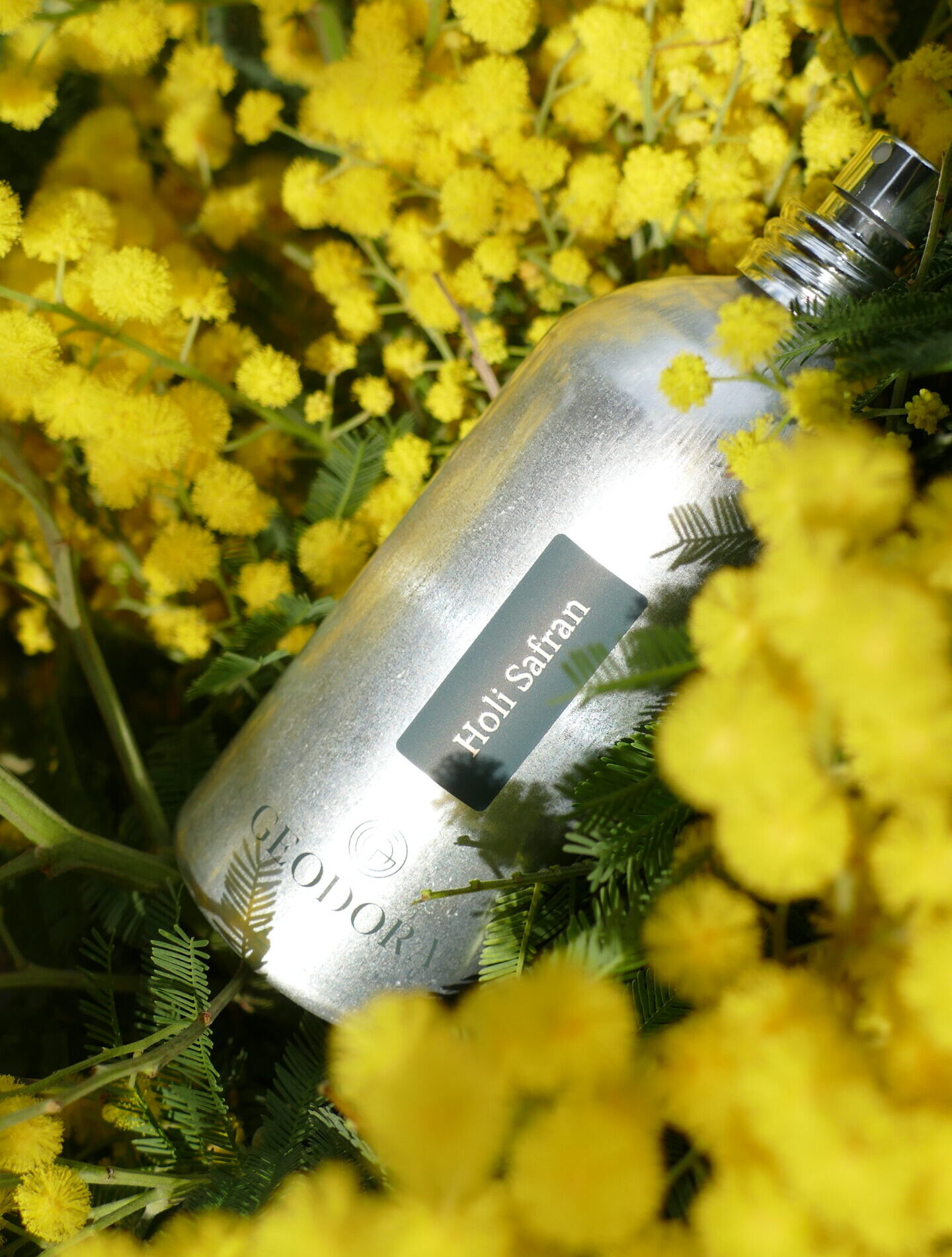 Parfum Holi Safran